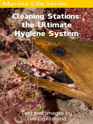 cover image of Cleaning Stations